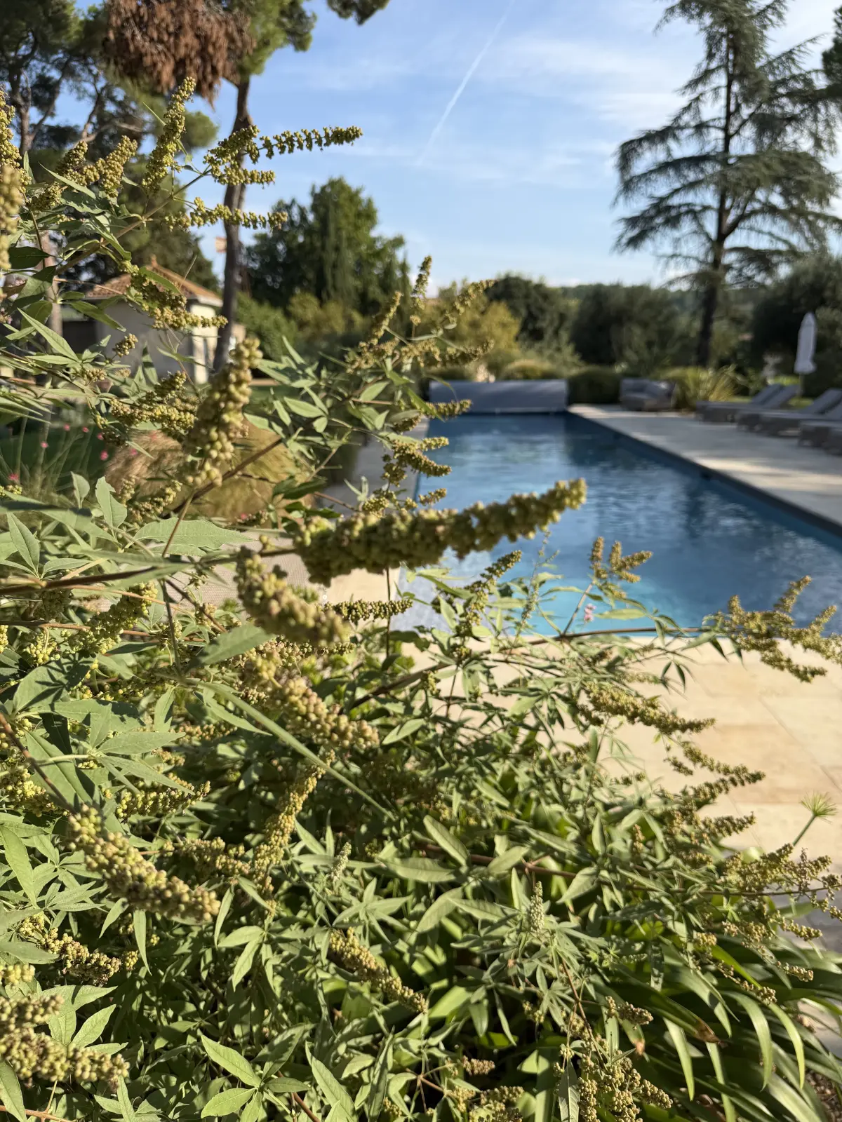 Séjour Signature & Spa - Juin/Sept