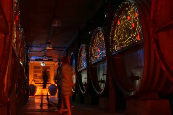 Dégustation de 5 vins et visite de cave immersive 180° — visuel 1