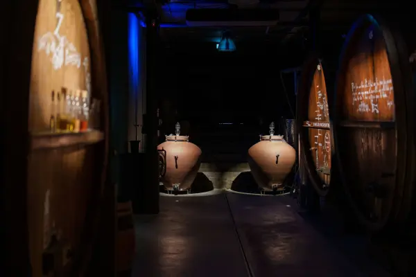 Visite de cave immersive et Shake the wine — visuel 3