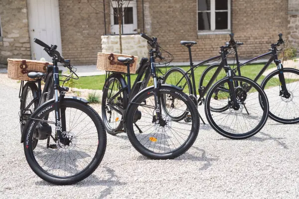 Sportive — visuel 1