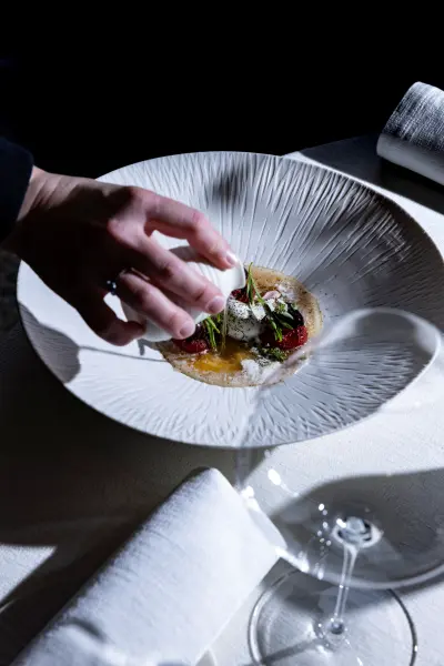 Menu "Germination" — visuel 2