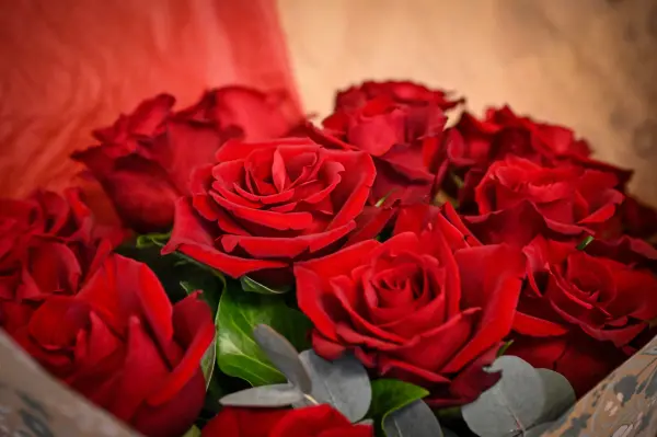 Escapade romantique - pour 2 personnes — visuel 2