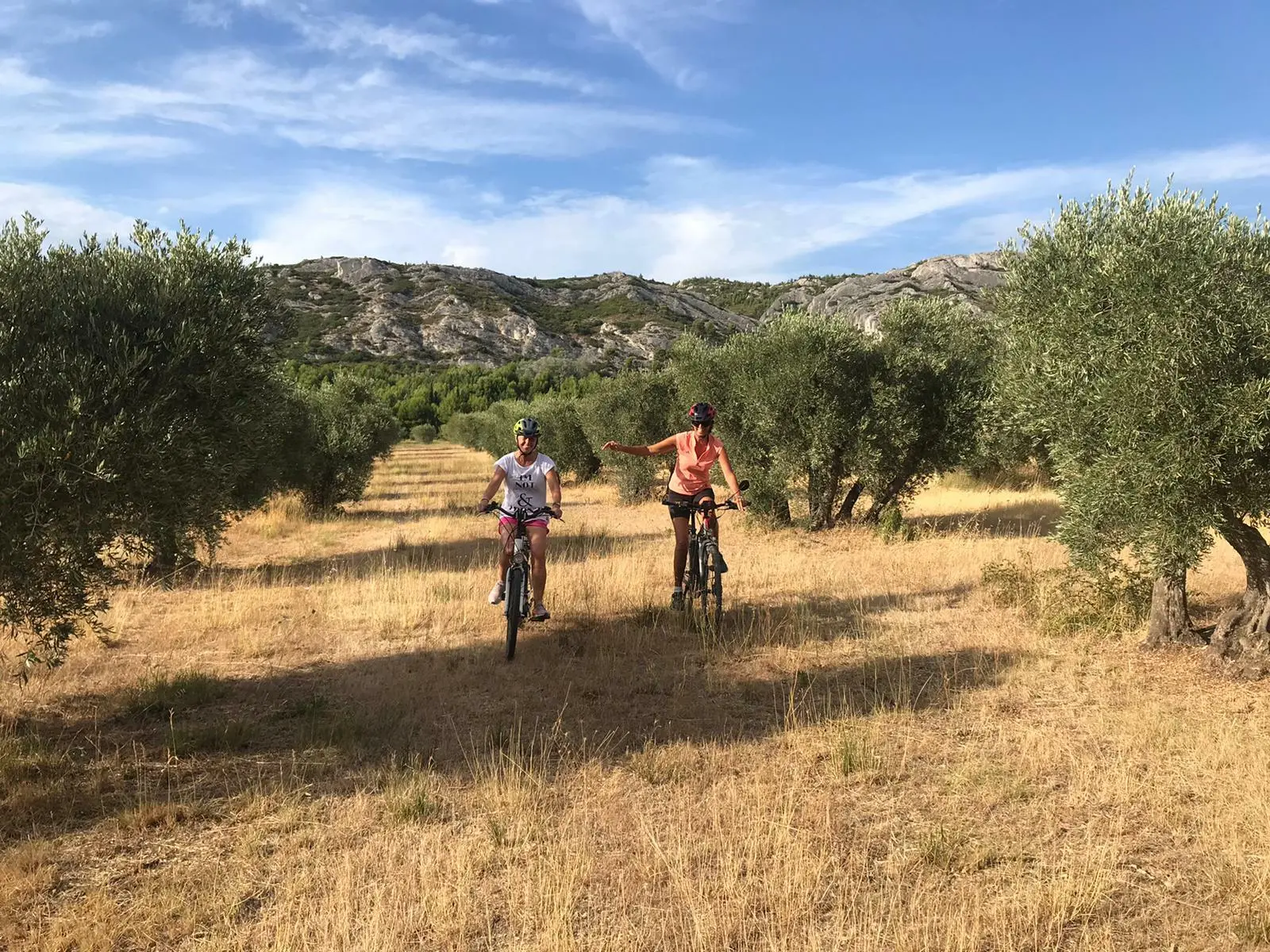 Balade gourmande à vélo