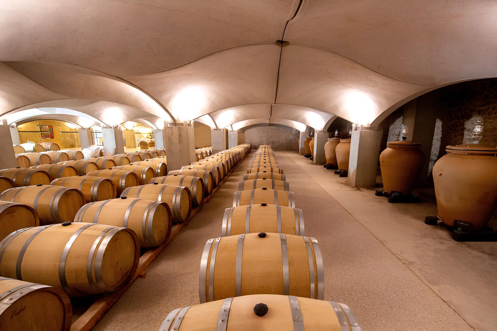 Visite & dégustation de 3 vins Malbec