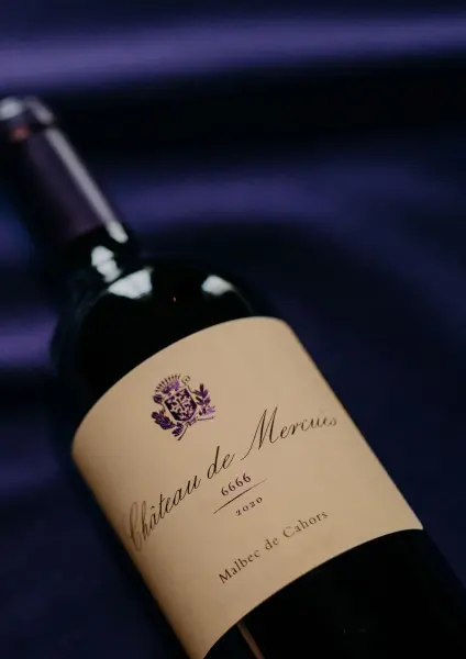 Visite & dégustation de 3 vins Malbec — visuel 3