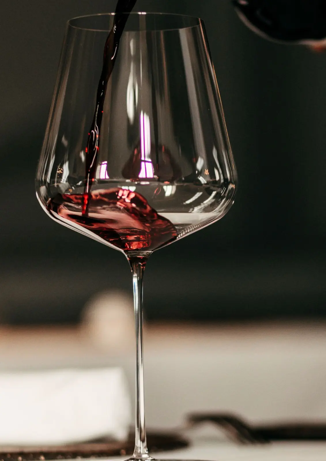 Visite & dégustation de 5 vins Malbec