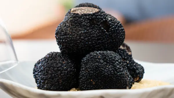 Menu tout en truffes — visuel 3