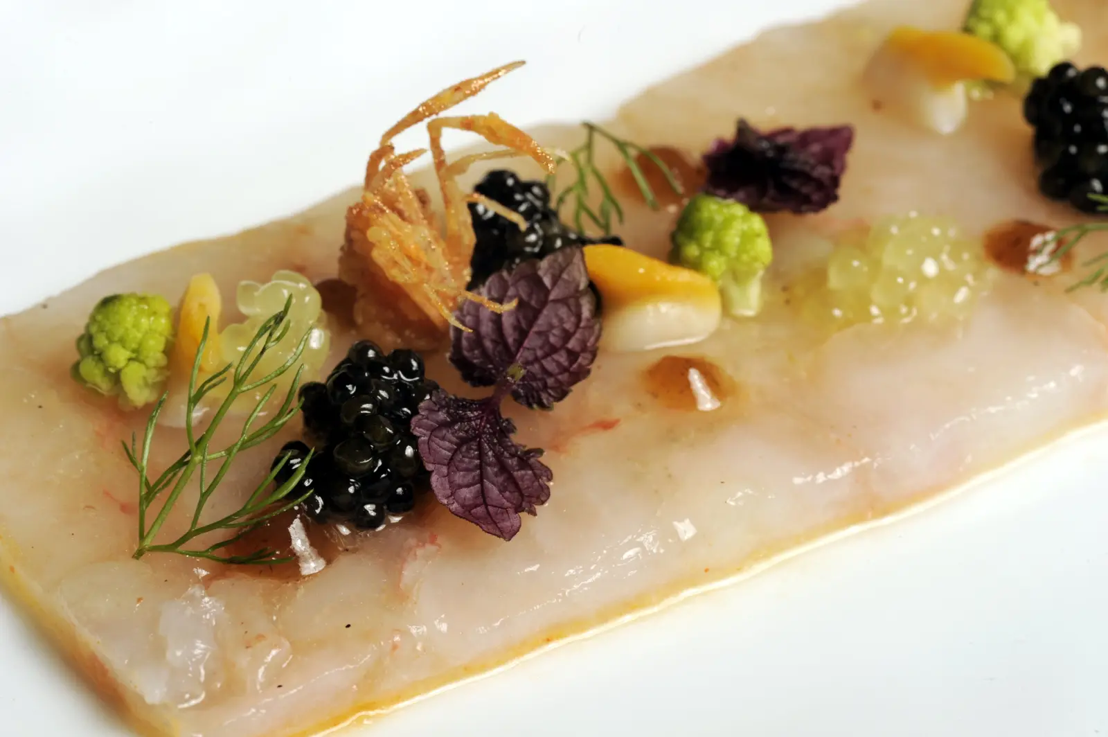 Menu Impression (hors boissons)
