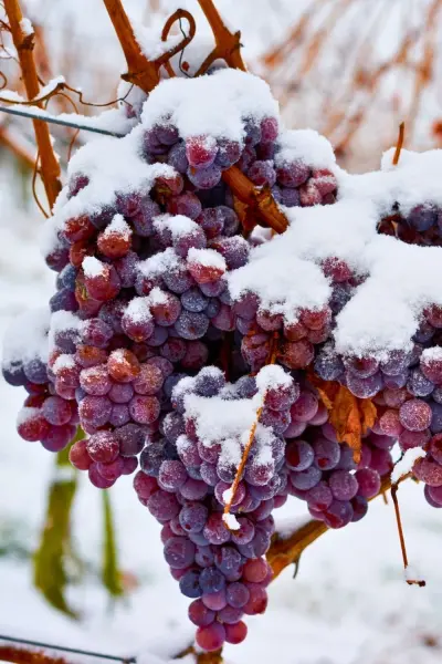 Forfait Hiver Bien-Etre — visuel 1