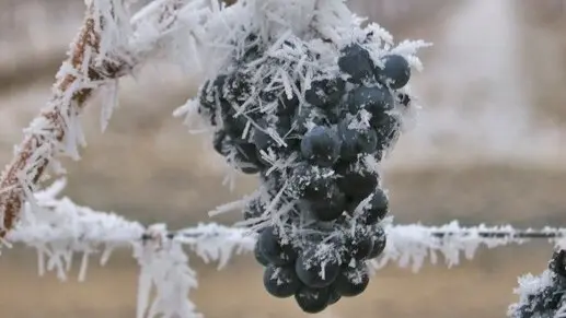 Forfait Hiver Bien-Etre — visuel 2