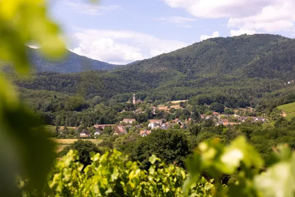 Escapade Découverte en Alsace — visuel 2