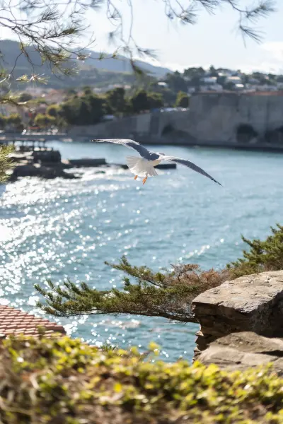 Une nuit vue mer à Collioure, de novembre à mars — visuel 3