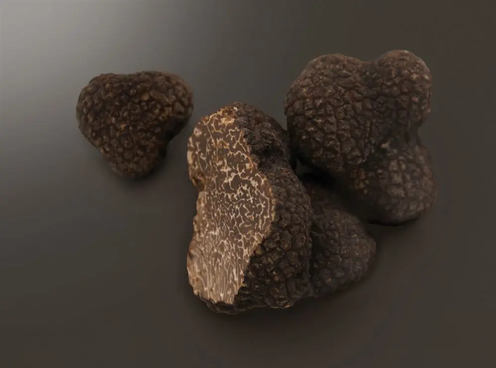Menu Toques & Truffes 3 temps