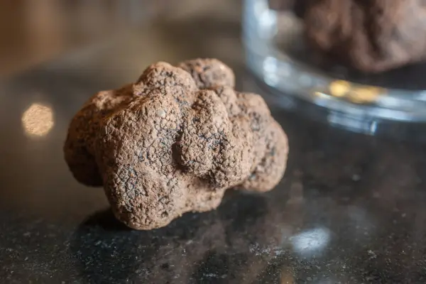 Menu Toques & Truffes 4 temps — visuel 2
