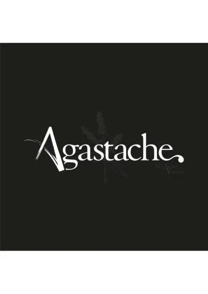Menu de l'Agastache — visuel 3