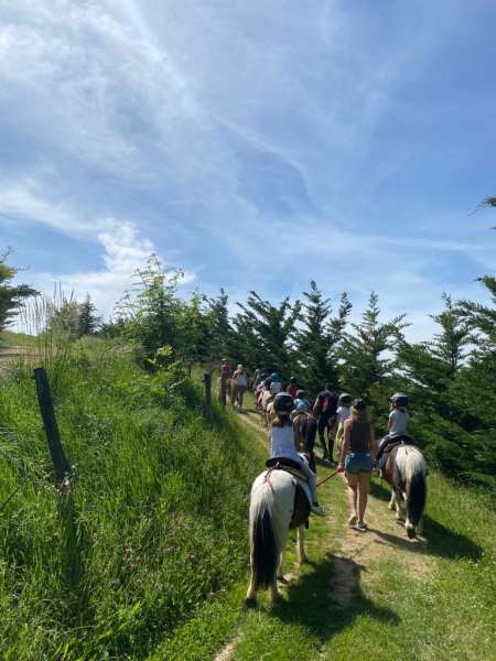 photo principale du coffret