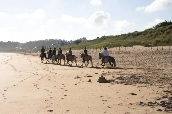 Evasion à cheval entre Caps et Landes — visuel 1