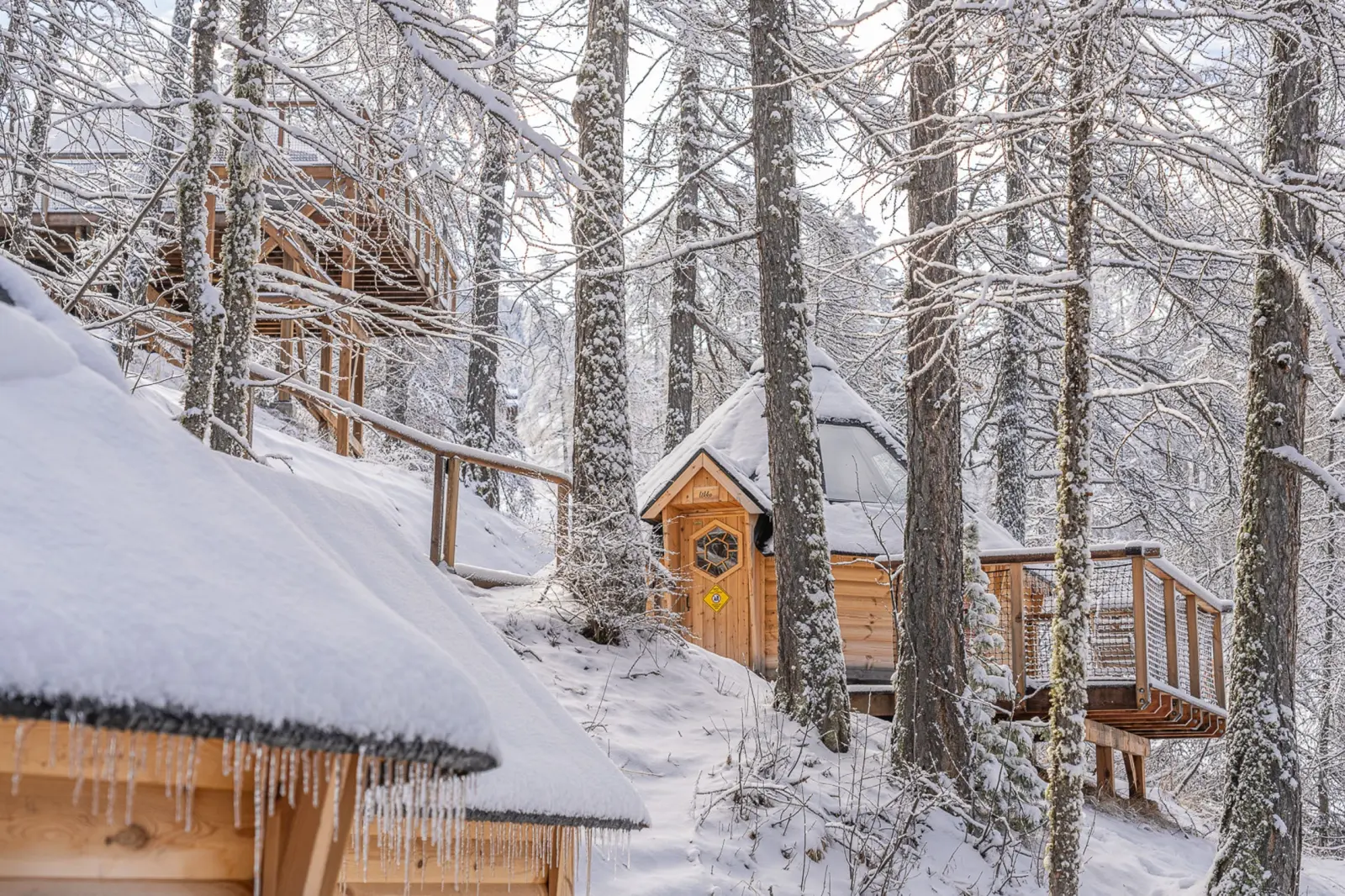 Évasion Hivernale Kota