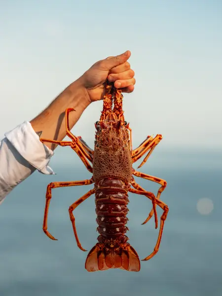 Dîner au restaurant La Langouste sur Le Toit — visuel 2