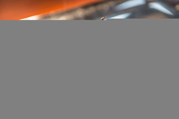 Un déjeuner ou un diner boissons comprises