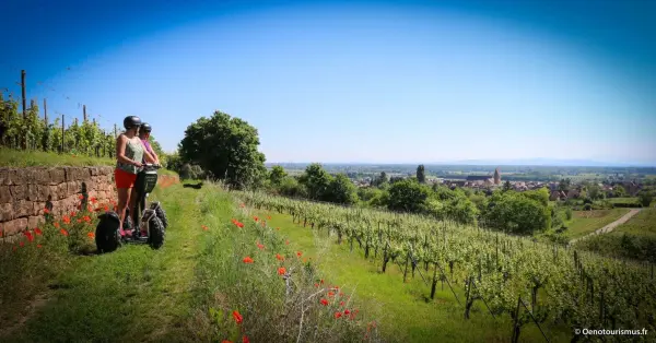Coffret Cadeau Route des Vins d’Alsace, en Segway · Classique — visuel 1