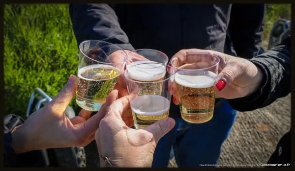 Coffret Cadeau Route des Vins d’Alsace, en Segway · Classique — visuel 2