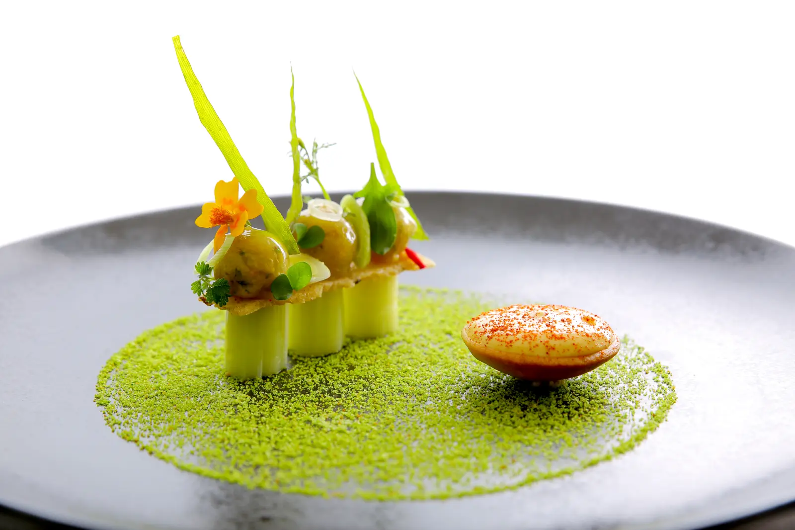Menu a la decouverte de jerome nutile