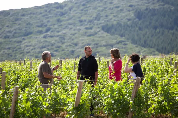 Bon cadeau - Visite & dégustation du Domaine Joseph Lafarge - Bourgogne — visuel 2