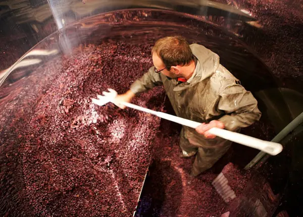 Bon Cadeau – Devenez Vigneron d’un Jour en Bourgogne — visuel 2