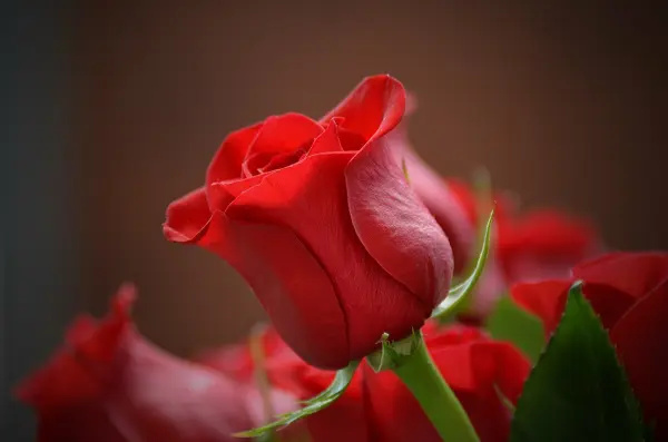 Escale "ROMANTIQUE" boissons comprises — visuel 1