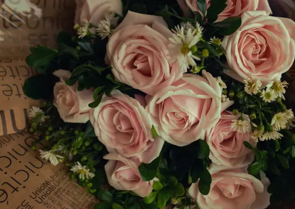 Le Romantique — visuel 1