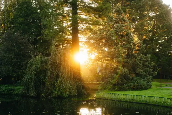 Séjour Jardin Extraordinaire — visuel 2