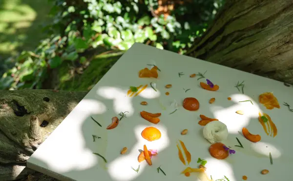 Menu gastronomique "Au détour des Saisons en 3 services " — visuel 3