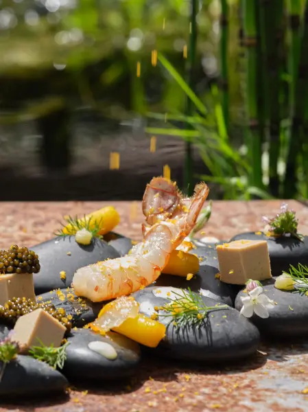 Menu gastronomique "Au détour des Saisons en 5 services" — visuel 2