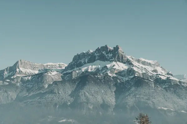 Coffret « PERCE NEIGE » — visuel 3
