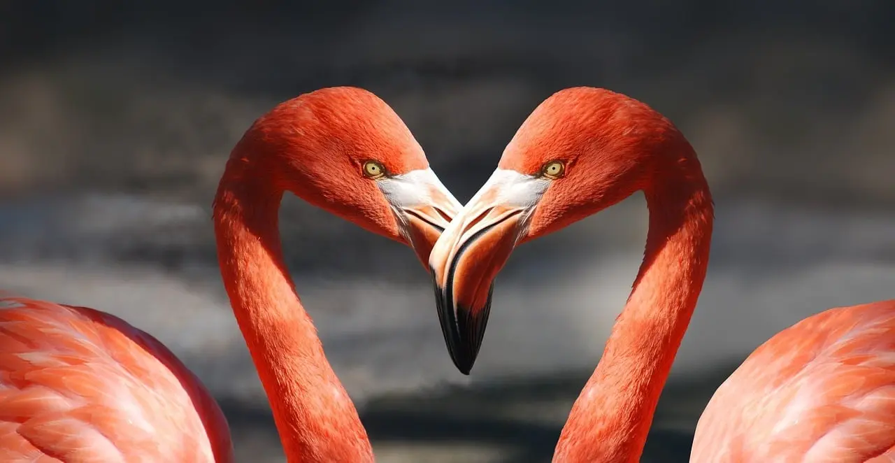 Escapade en Amoureux