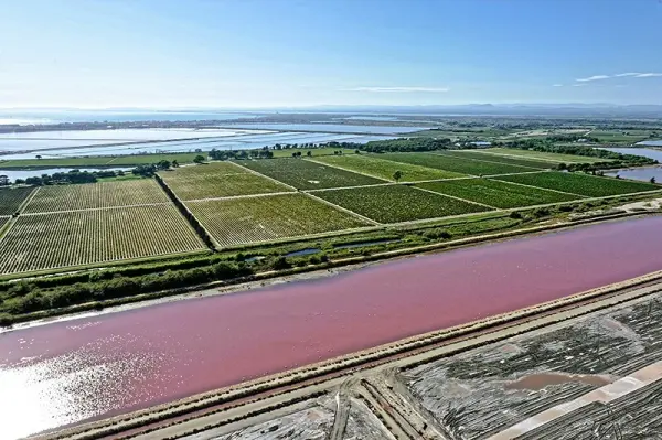 Balade dans le Vignoble des Sables de Camargue — visuel 1