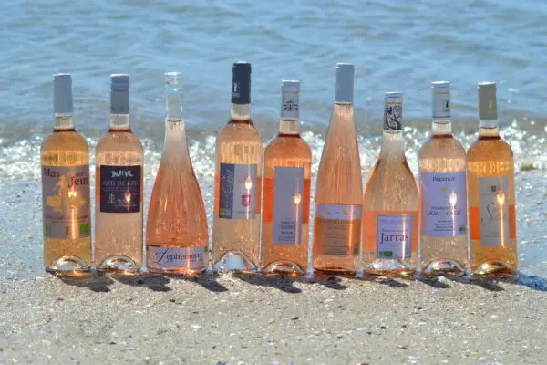 Balade dans le Vignoble des Sables de Camargue — visuel 2