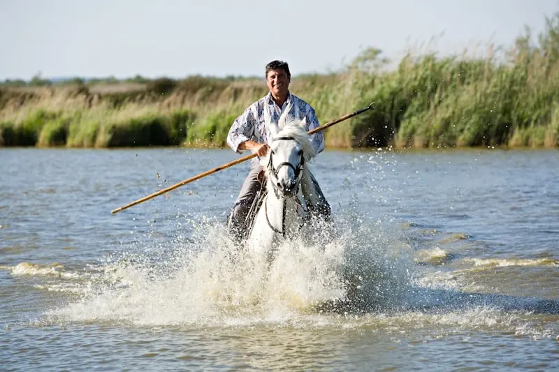 Decouverte nature et cheval