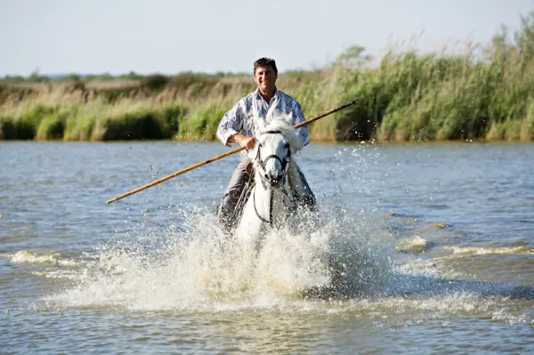 Decouverte nature et cheval — visuel 1