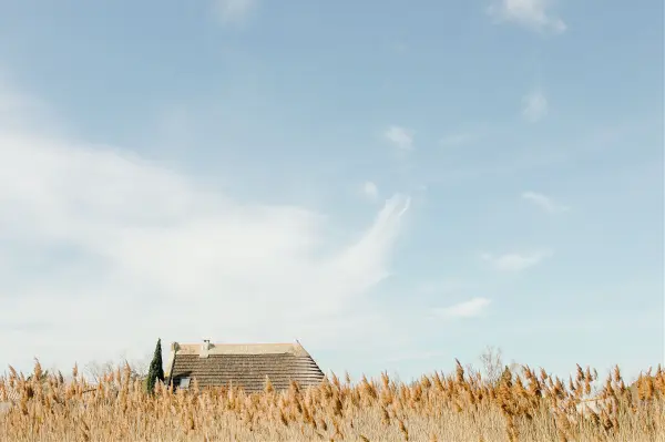Decouverte nature et cheval — visuel 2
