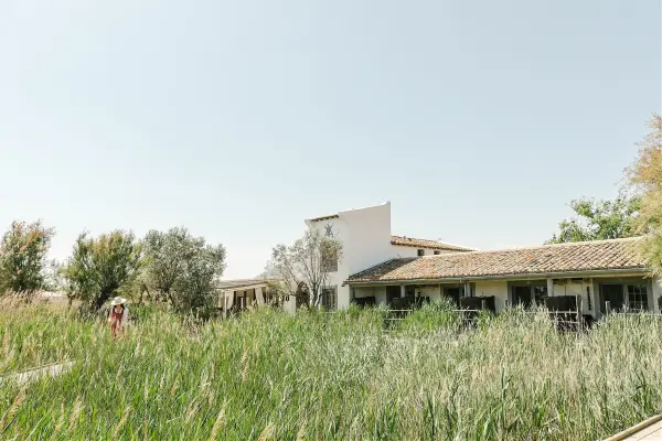 Decouverte nature et cheval — visuel 3