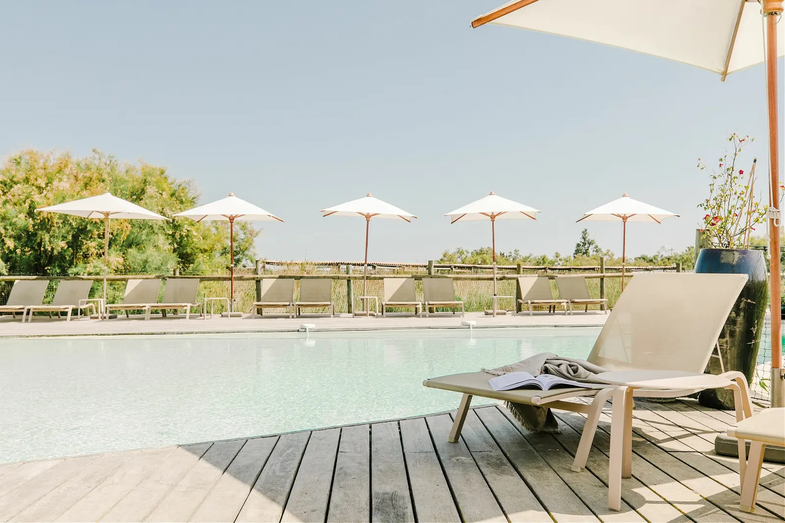 Séjour Bon Plan Camargue 2 nuits