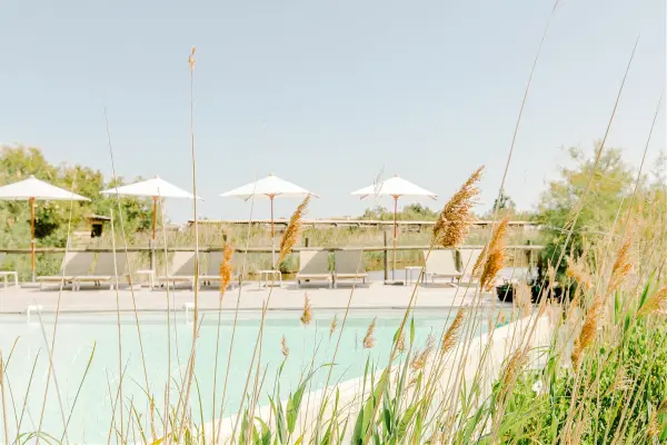 Découverte de la Camargue et détente en duo — visuel 2