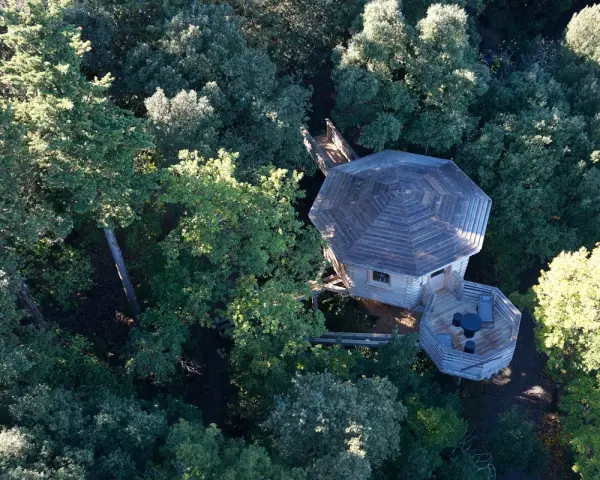 Escapade amoureuse dans les bois en toute saison — visuel 2