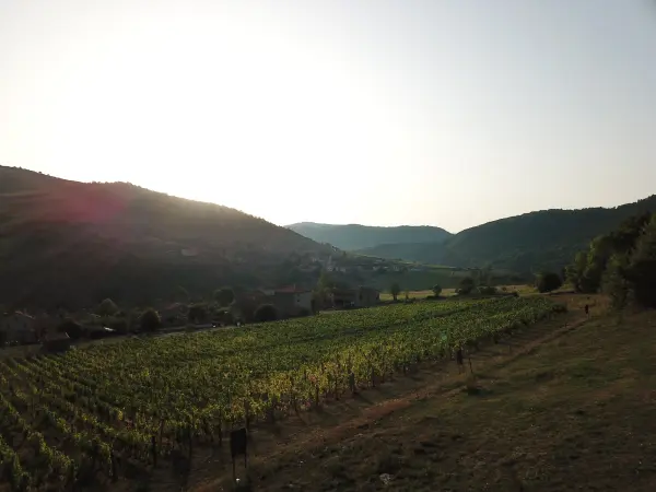 Séjour épicurien — visuel 3