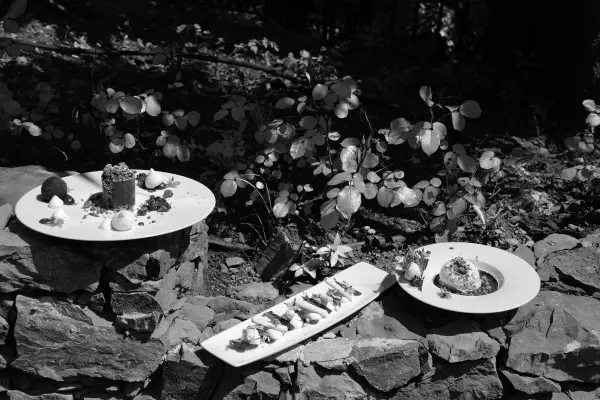Séjour Art & Gastronomie — visuel 1