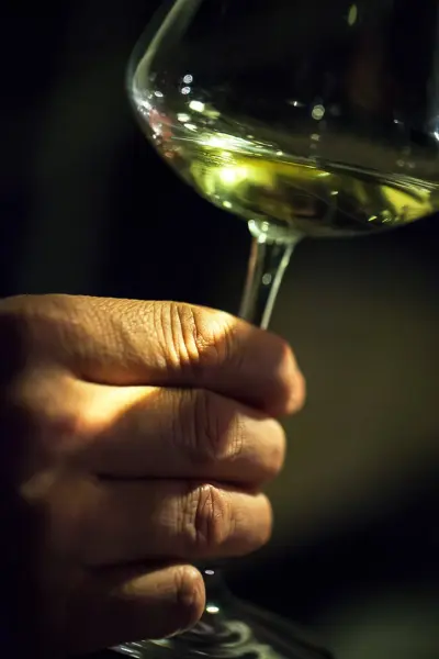 Accord mets et vins — visuel 3