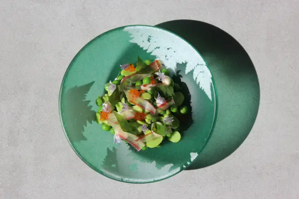 Pinua - Éveil des Saveurs en 7 Temps — visuel 1