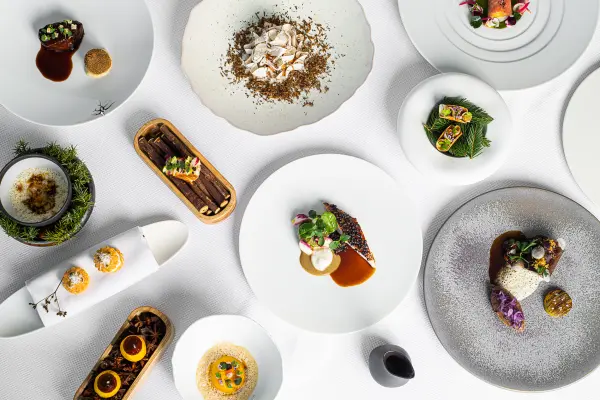 Dégustation au restaurant gastronomique de la Maison Décotterd — visuel 1